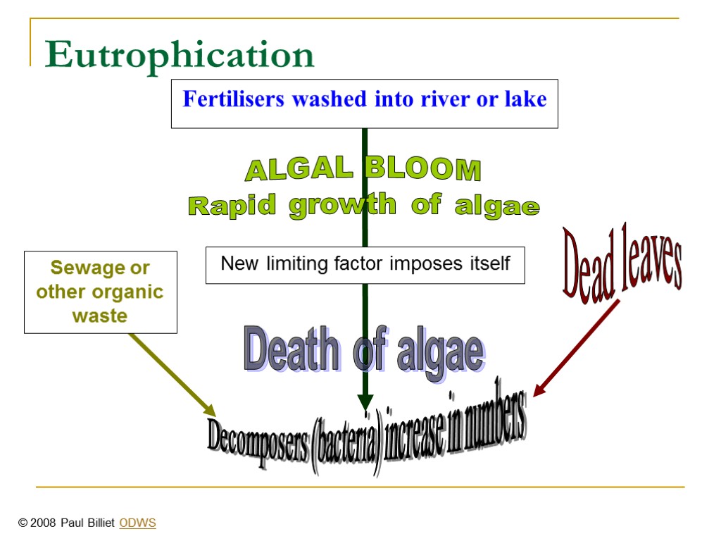 Fertilisers washed into river or lake New limiting factor imposes itself Decomposers (bacteria) increase